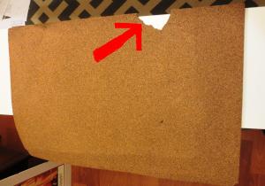 Arrows indicate the precise site of bite mark