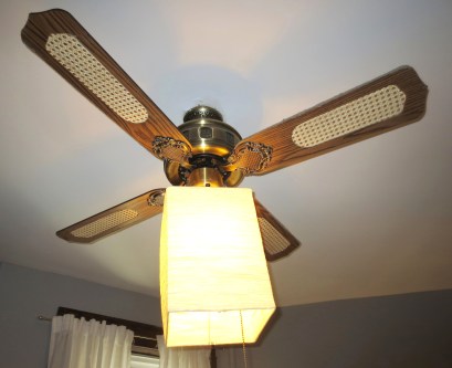 This photo may be upsetting to our more sensitive readers