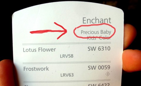 precious baby certified